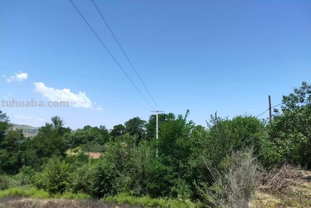 速写风景乡村速写风景乡村房子