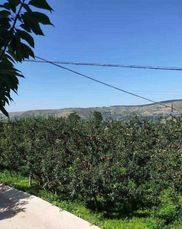 速写风景乡村速写风景乡村房子