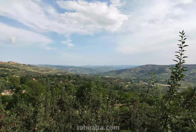 速写风景乡村速写风景乡村房子