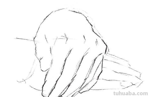 速写线描手速写线描手部