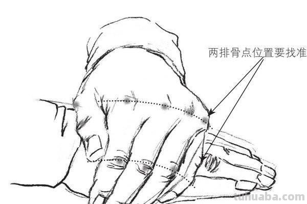 速写线描手速写线描手部