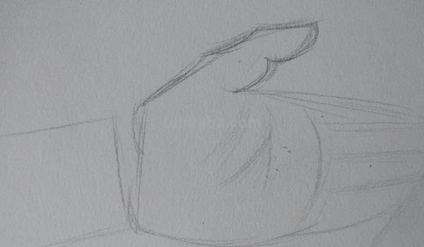 速写线描手速写线描手部
