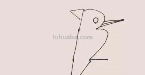 速写简笔鸟速写鸟怎么画
