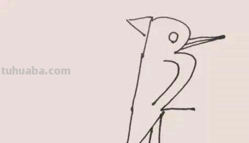 速写简笔鸟速写鸟怎么画