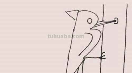 速写简笔鸟速写鸟怎么画