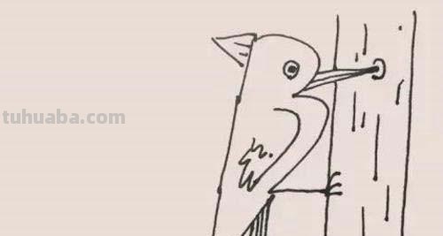 速写简笔鸟速写鸟怎么画