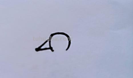 速写简笔鸟速写鸟怎么画