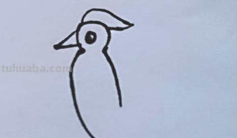 速写简笔鸟速写鸟怎么画