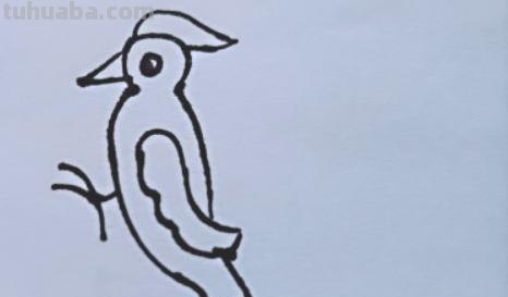 速写简笔鸟速写鸟怎么画
