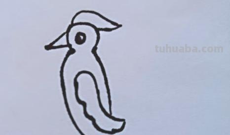 速写简笔鸟速写鸟怎么画