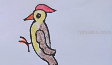 速写简笔鸟速写鸟怎么画