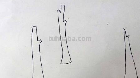 速写简笔鸟速写鸟怎么画