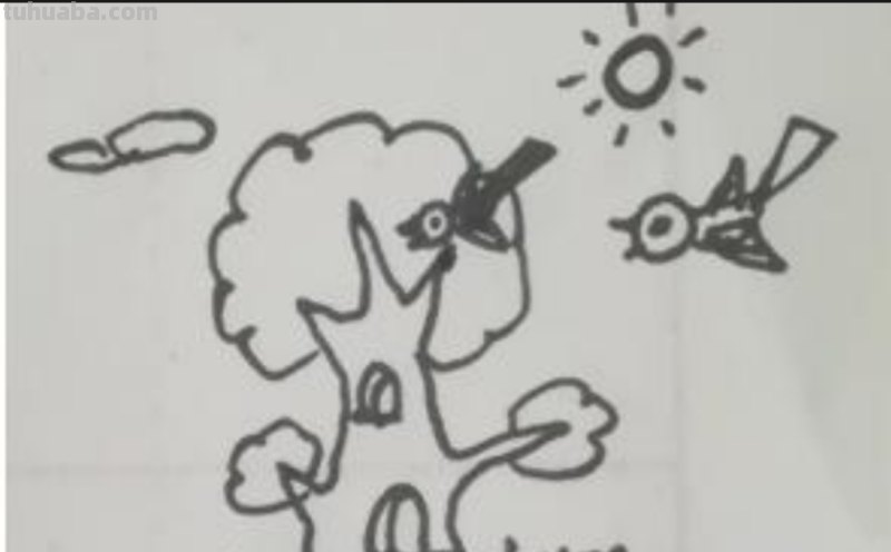 速写简笔鸟速写鸟怎么画