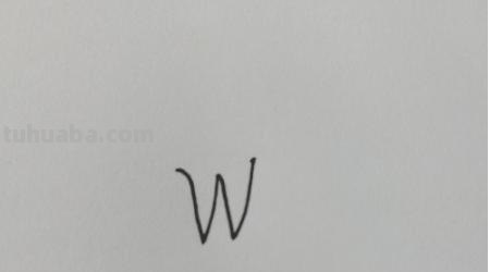 速写简笔鸟速写鸟怎么画