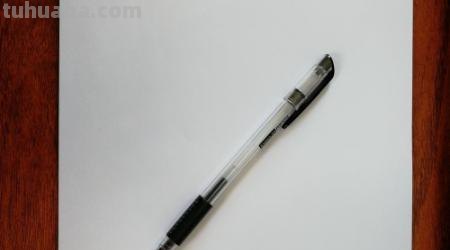 速写简笔鸟速写鸟怎么画