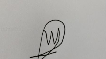 速写简笔鸟速写鸟怎么画