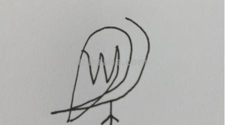 速写简笔鸟速写鸟怎么画