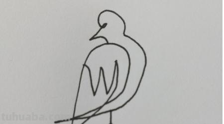 速写简笔鸟速写鸟怎么画