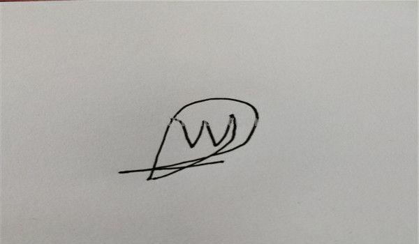 速写简笔鸟速写鸟怎么画