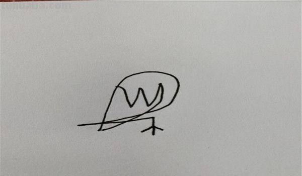 速写简笔鸟速写鸟怎么画