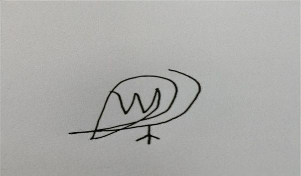 速写简笔鸟速写鸟怎么画