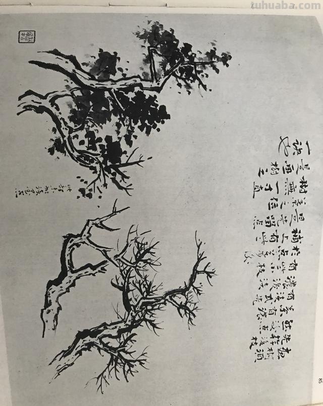 怎样提高速写怎样提高速写造型能力