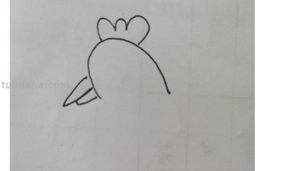 大公鸡速写大公鸡速写图片 大公鸡速写大公鸡速写图片