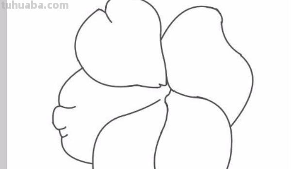 凤仙花速写凤仙花素描