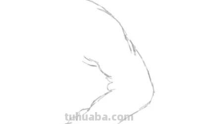 人物速写手臂人物速写手臂怎么画