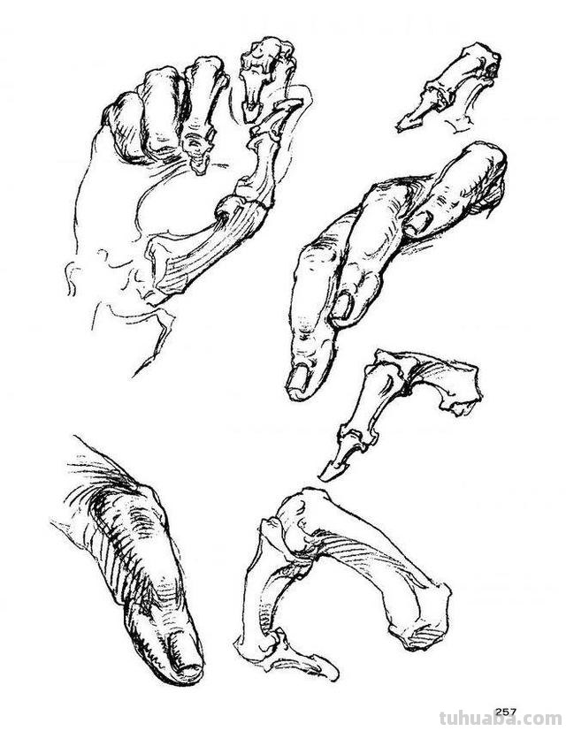 徒手绘画技巧及速写徒手绘画技巧及速写图片