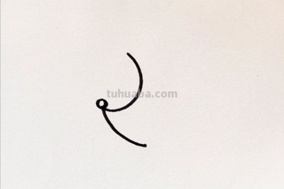 钢笔速写动物钢笔速写动物图片