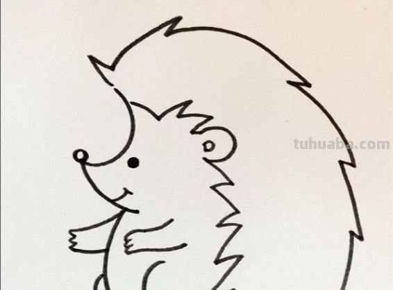 钢笔速写动物钢笔速写动物图片