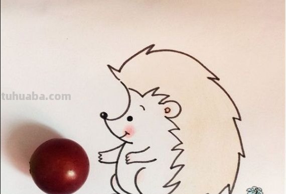 钢笔速写动物钢笔速写动物图片