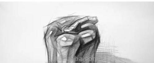 速写静物作品速写静物作品图片