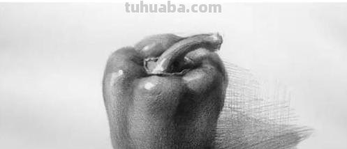 速写静物作品速写静物作品图片