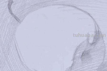 设计速写水果设计速写水果蔬菜