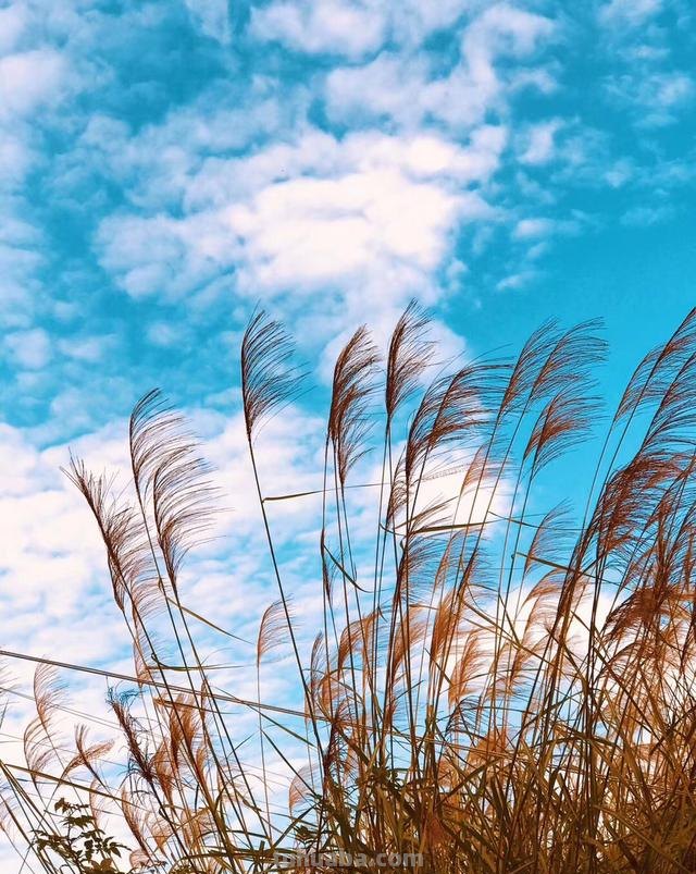 海边场景速写海边场景速写画