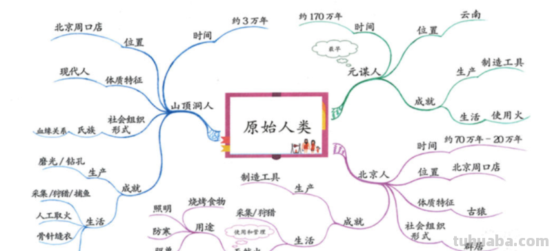 思维导图提高孩子学习成绩的具体方法和案例