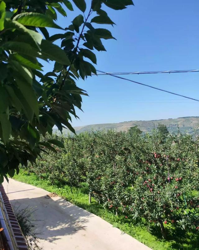 速写乡村风景速写乡村风景图片大全