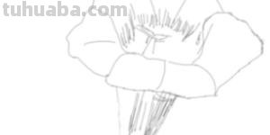 花速写手绘花 速写 花速写手绘花 速写