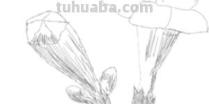 花速写手绘花 速写 花速写手绘花 速写