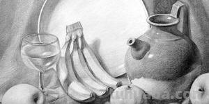 花速写手绘花 速写 花速写手绘花 速写