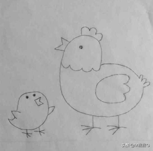鸡宝宝速写鸡宝宝画法