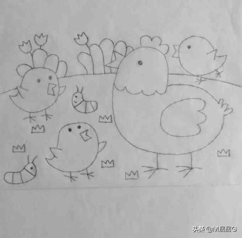 鸡宝宝速写鸡宝宝画法