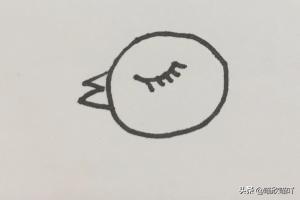 鸡宝宝速写鸡宝宝画法