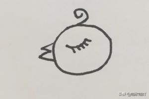 鸡宝宝速写鸡宝宝画法