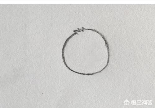 鸡宝宝速写鸡宝宝画法