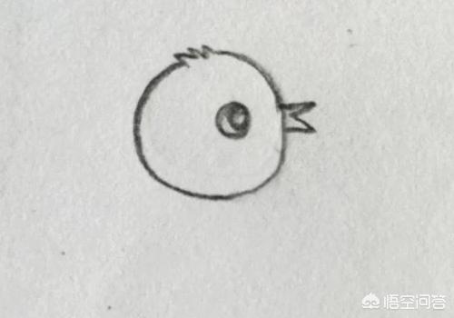 鸡宝宝速写鸡宝宝画法