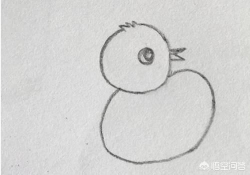 鸡宝宝速写鸡宝宝画法