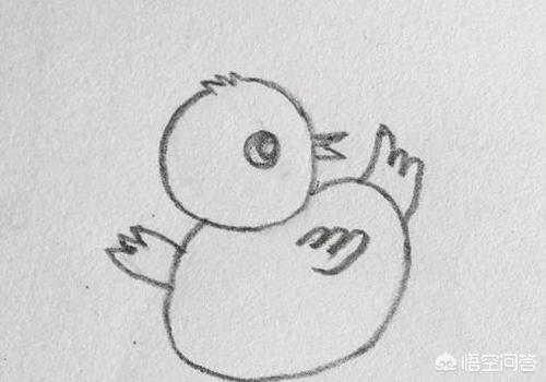 鸡宝宝速写鸡宝宝画法